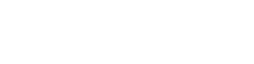 Courtage en assurances & protection financière